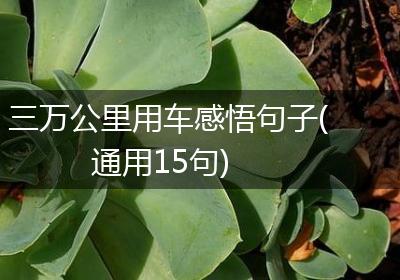 三万公里用车感悟句子(通用15句)