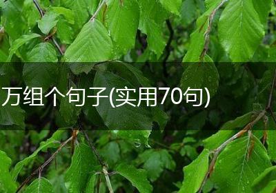 万组个句子(实用70句)