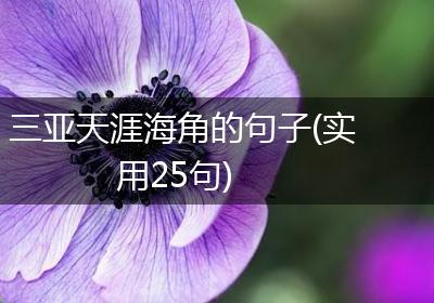 三亚天涯海角的句子(实用25句)