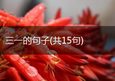 三一的句子(共15句)