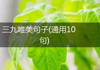 三九唯美句子(通用10句)