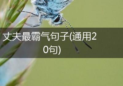 丈夫最霸气句子(通用20句)