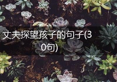 丈夫探望孩子的句子(30句)