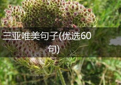 三亚唯美句子(优选60句)