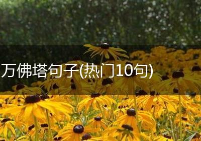 万佛塔句子(热门10句)