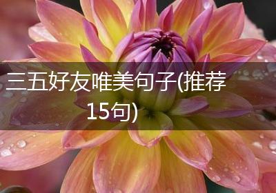 三五好友唯美句子(推荐15句)