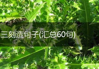 三刻造句子(汇总60句)