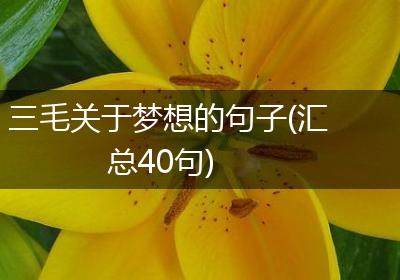三毛关于梦想的句子(汇总40句)