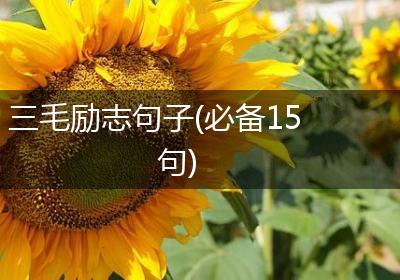 三毛励志句子(必备15句)