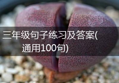 三年级句子练习及答案(通用100句)
