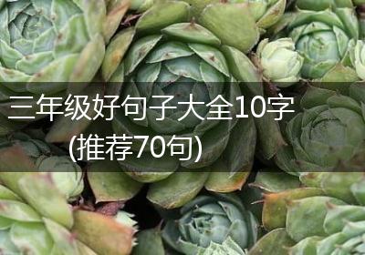 三年级好句子大全10字(推荐70句)