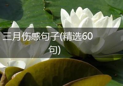 三月伤感句子(精选60句)