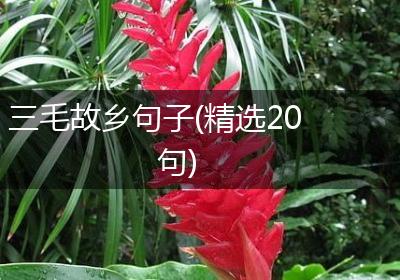 三毛故乡句子(精选20句)