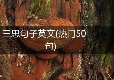 三思句子英文(热门50句)