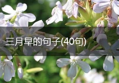 三月早的句子(40句)