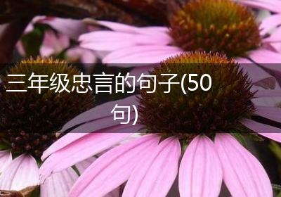 三年级忠言的句子(50句)