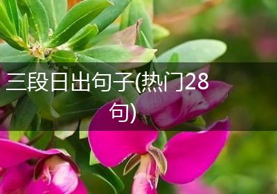 三段日出句子(热门28句)