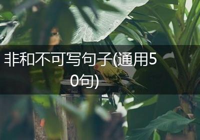 非和不可写句子(通用50句)