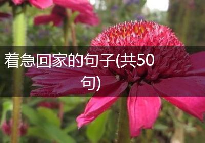着急回家的句子(共50句)