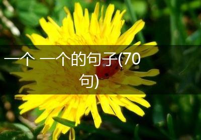 一个 一个的句子(70句)