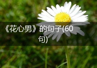 《花心男》的句子(60句)