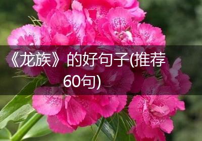 《龙族》的好句子(推荐60句)