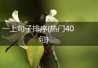 一上句子排序(热门40句)