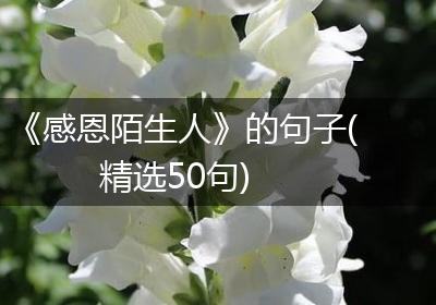 《感恩陌生人》的句子(精选50句)