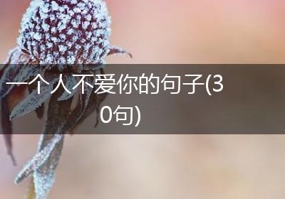 一个人不爱你的句子(30句)