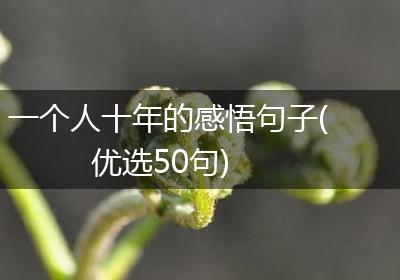 一个人十年的感悟句子(优选50句)