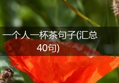 一个人一杯茶句子(汇总40句)