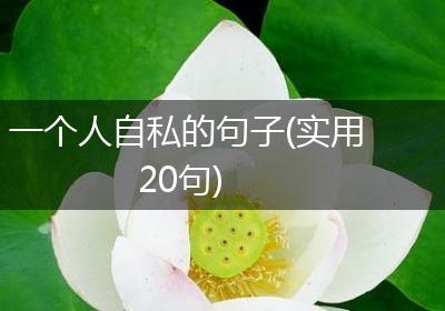 一个人自私的句子(实用20句)