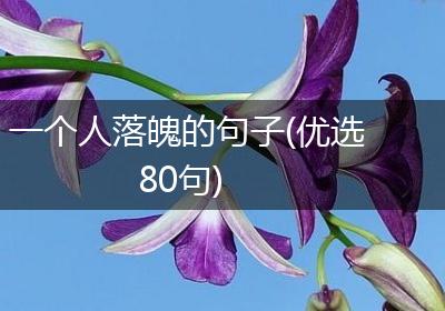 一个人落魄的句子(优选80句)