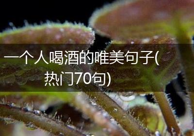 一个人喝酒的唯美句子(热门70句)