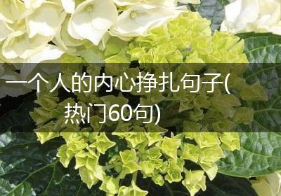 一个人的内心挣扎句子(热门60句)