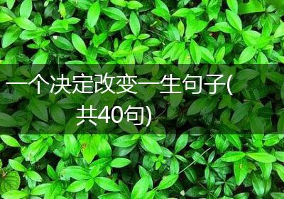 一个决定改变一生句子(共40句)