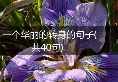 一个华丽的转身的句子(共40句)