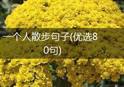 一个人散步句子(优选80句)