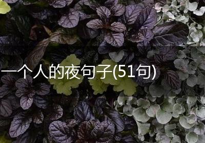 一个人的夜句子(51句)