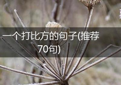 一个打比方的句子(推荐70句)