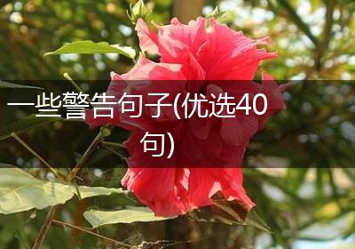 一些警告句子(优选40句)