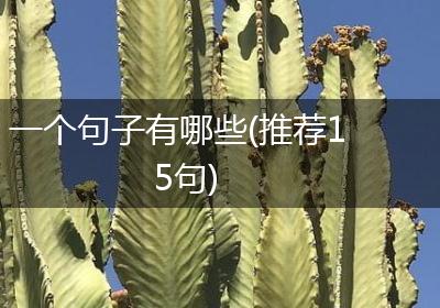 一个句子有哪些(推荐15句)