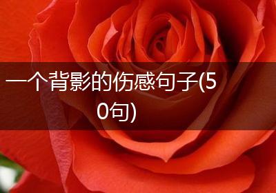 一个背影的伤感句子(50句)