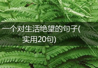 一个对生活绝望的句子(实用20句)