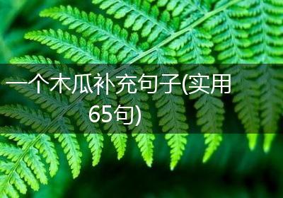 一个木瓜补充句子(实用65句)