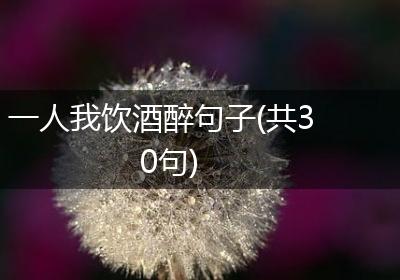 一人我饮酒醉句子(共30句)