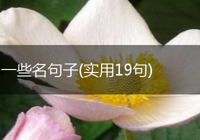 一些名句子(实用19句)