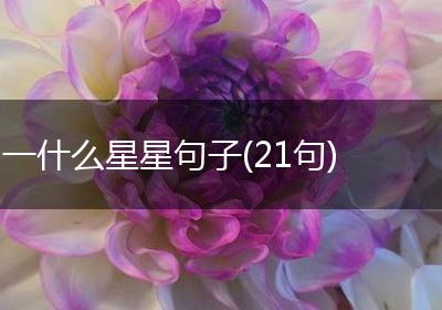 一什么星星句子(21句)