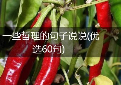 一些哲理的句子说说(优选60句)