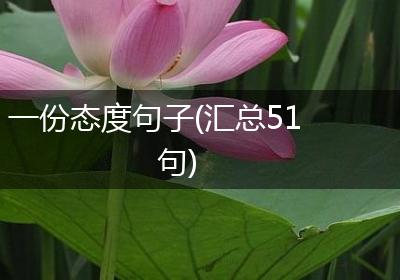 一份态度句子(汇总51句)